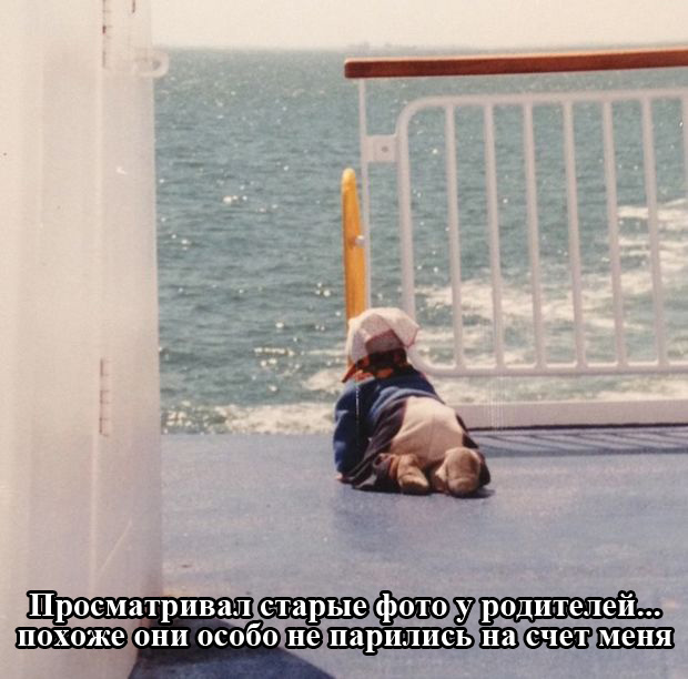 Забавные картинки