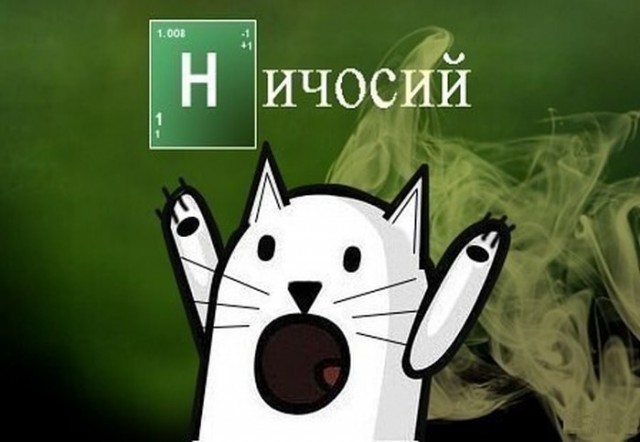 Ответ юзеров сети на появление нового мема Ничоси