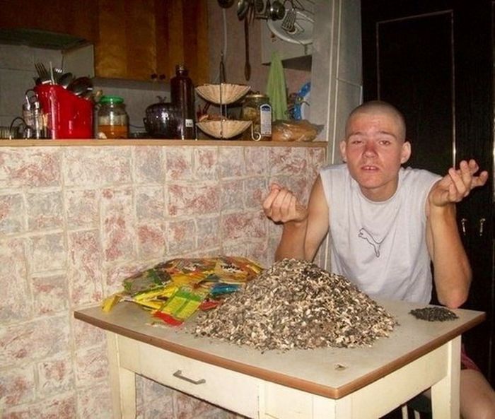 Забавные картинки