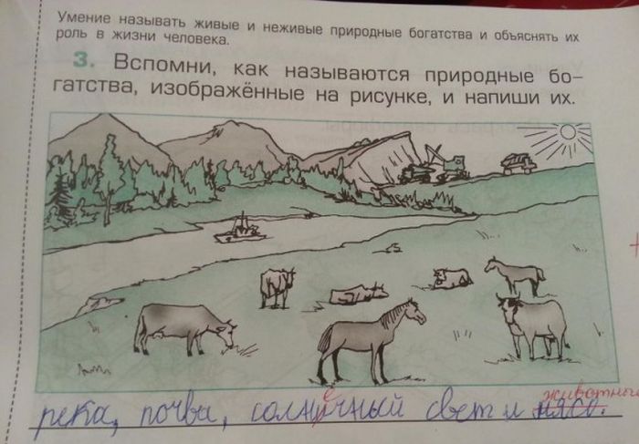 Забавные картинки