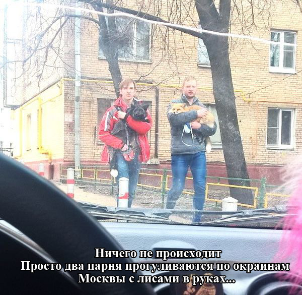 Забавные картинки