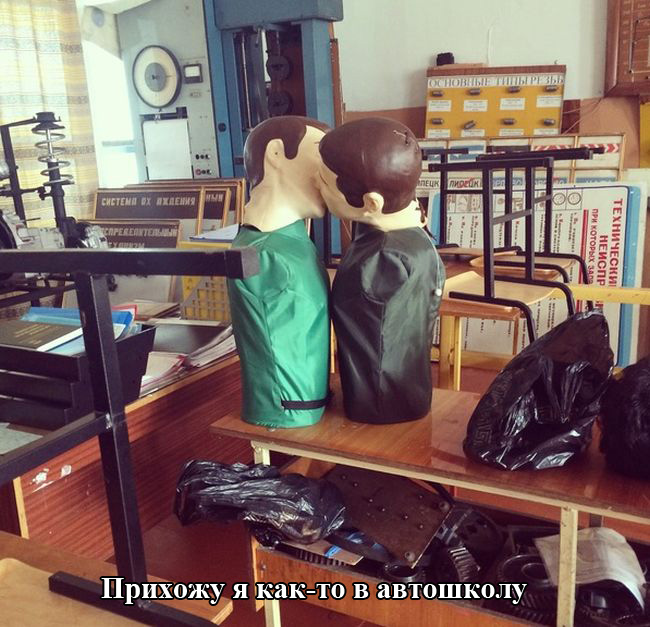 Забавные картинки