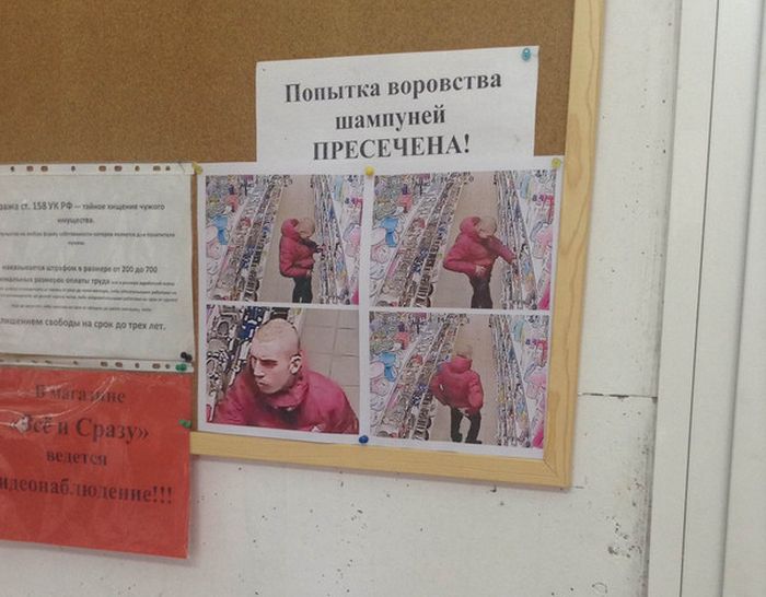 Забавные картинки