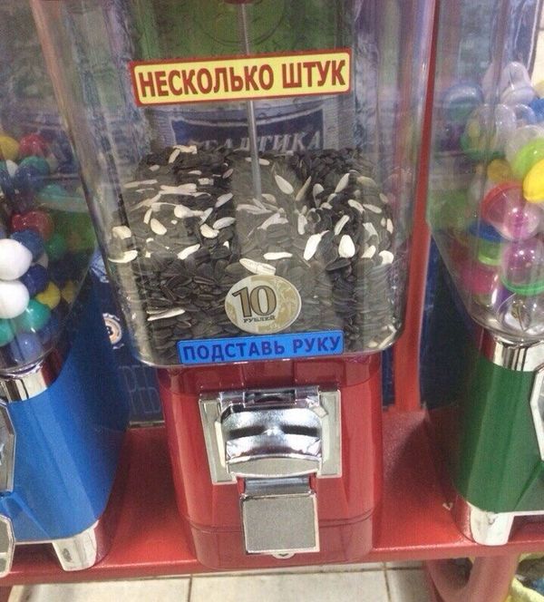 Забавные картинки