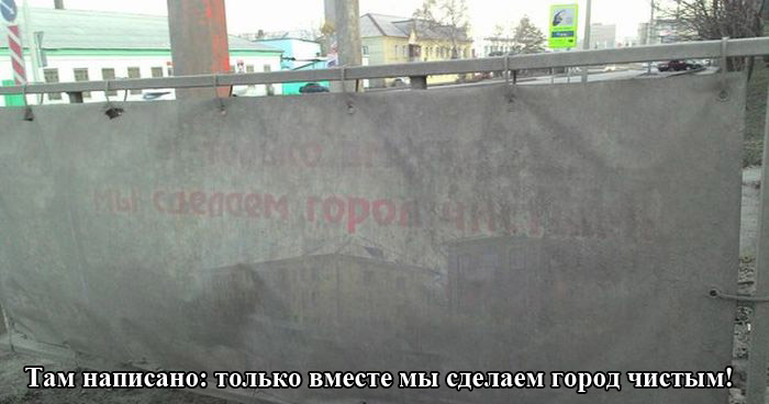 Забавные картинки