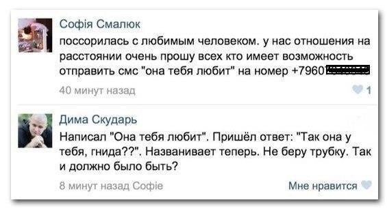 Забавные картинки