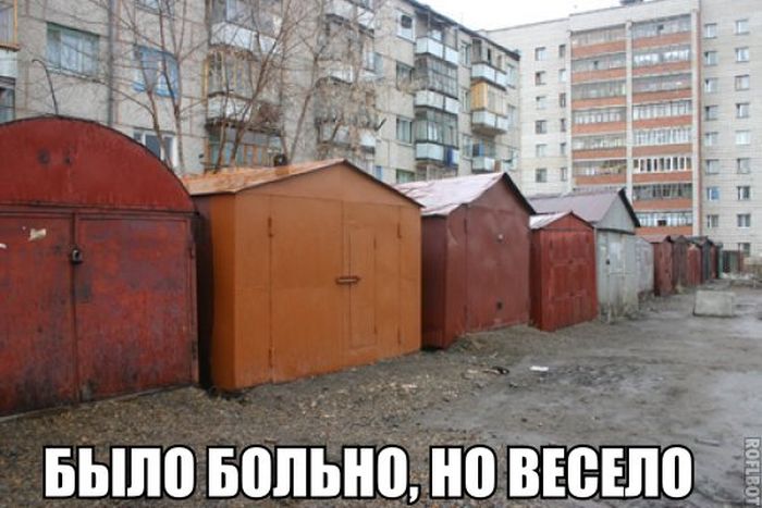 Забавные картинки