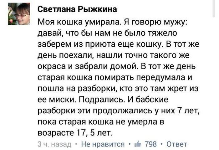 Забавные картинки