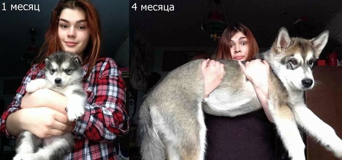 Забавные картинки