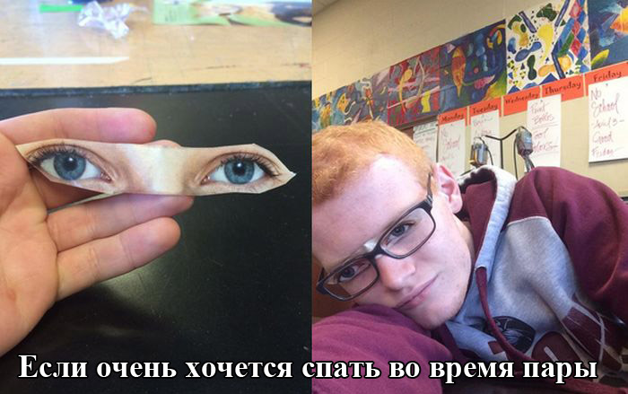 Забавные картинки