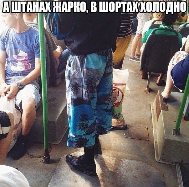 Забавные картинки