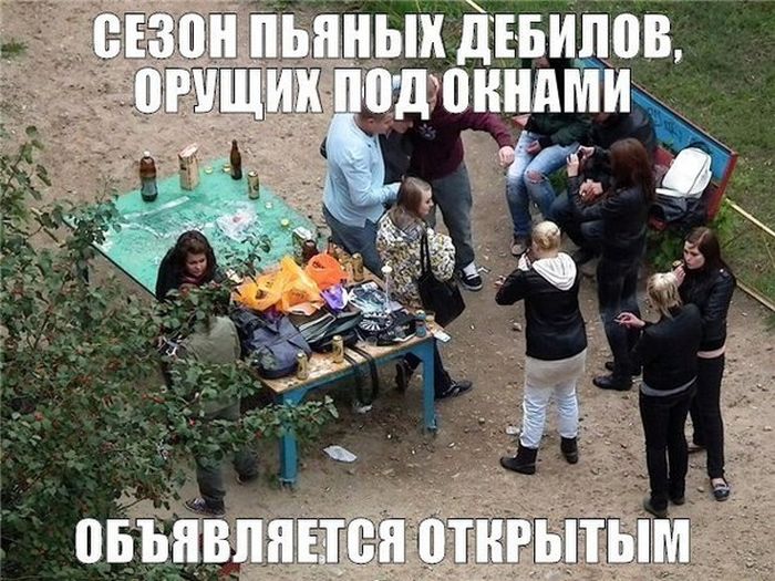 Забавные картинки