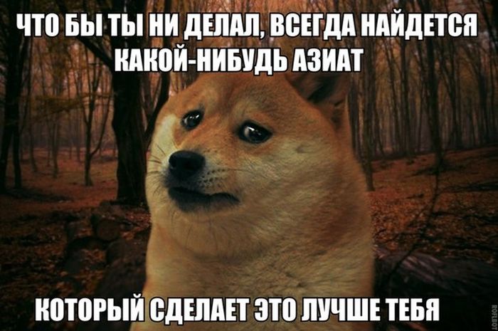 Забавные картинки