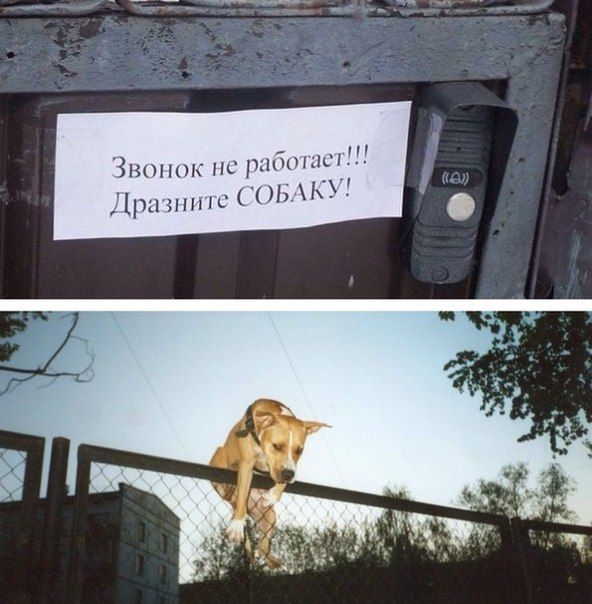 Забавные картинки