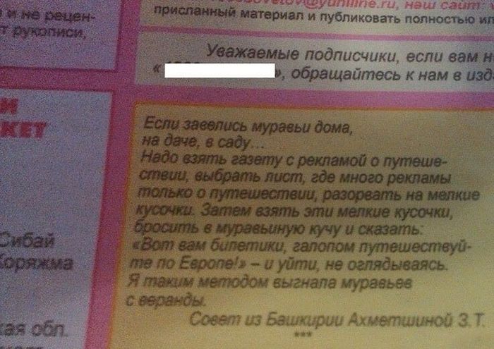 Забавные картинки