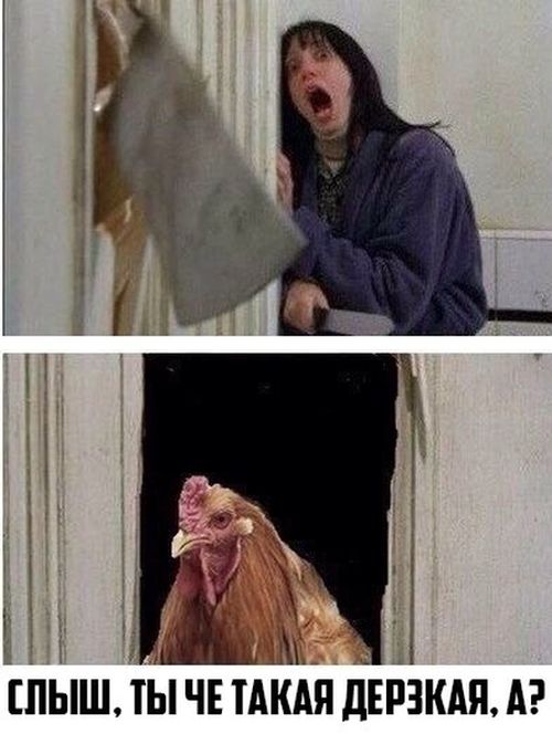Забавные картинки