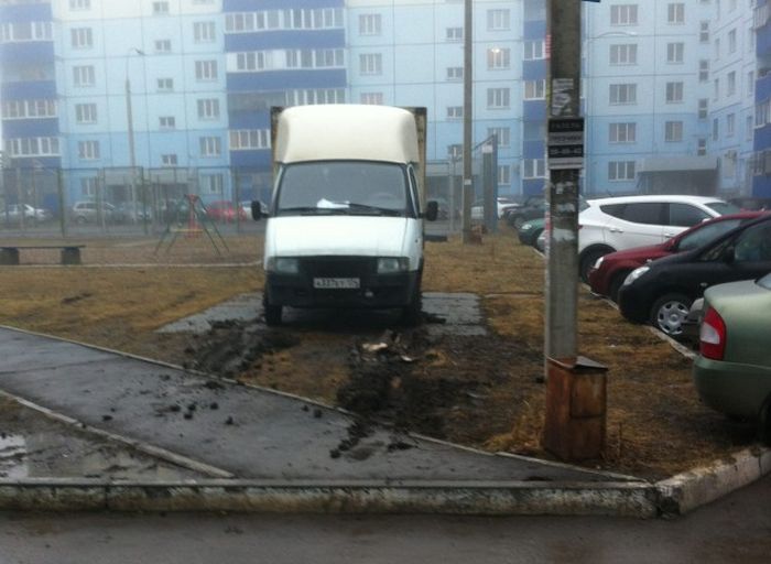 Забавные картинки