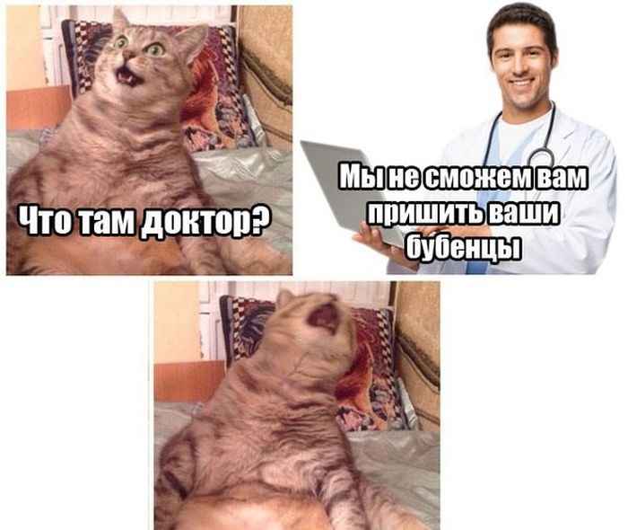 Забавные картинки