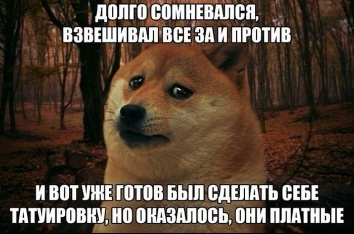 Забавные картинки