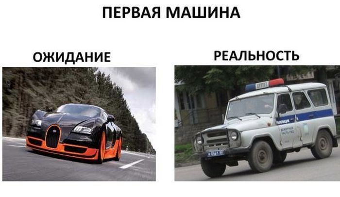 Забавные картинки