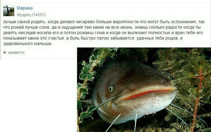 Забавные картинки
