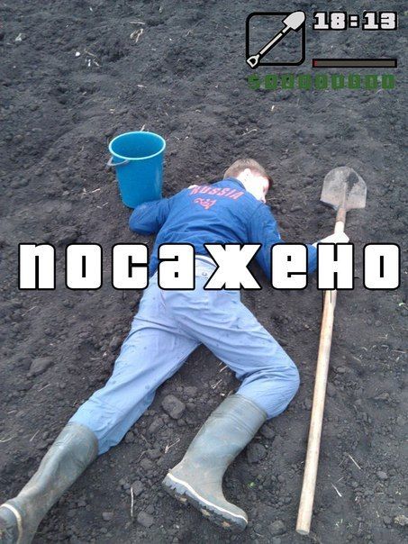 Забавные картинки
