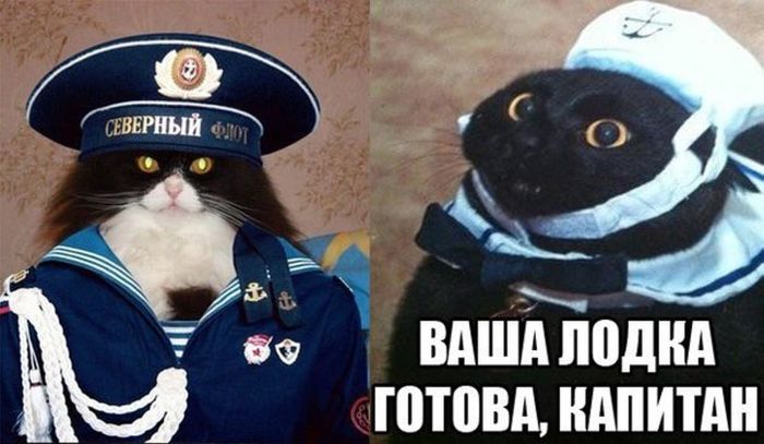 Забавные картинки