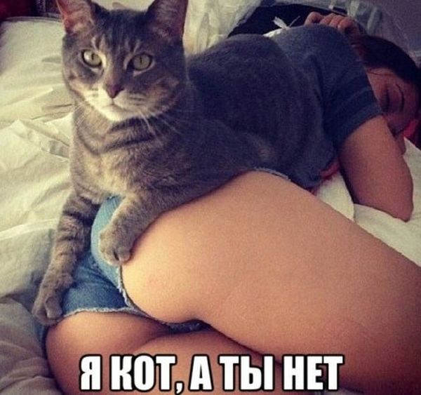Забавные картинки