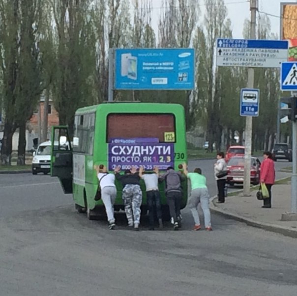 Забавные картинки