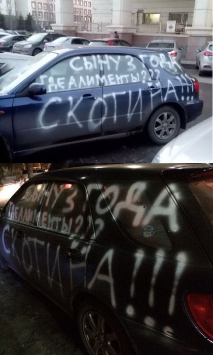 Забавные картинки