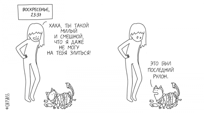 Забавные картинки