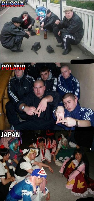 Забавные картинки