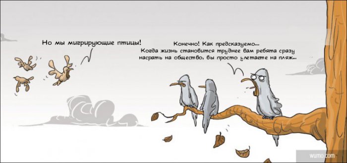 Забавные картинки