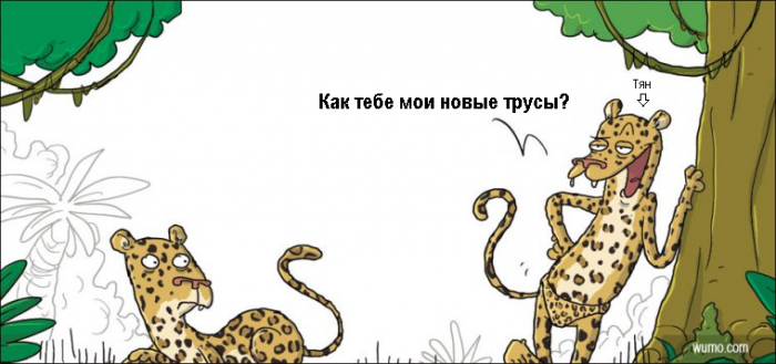 Забавные картинки