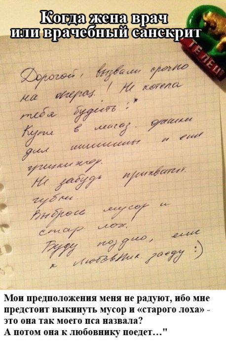 Забавные картинки