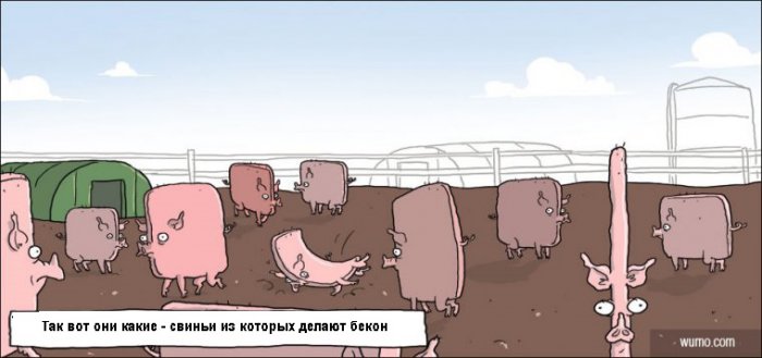 Забавные картинки