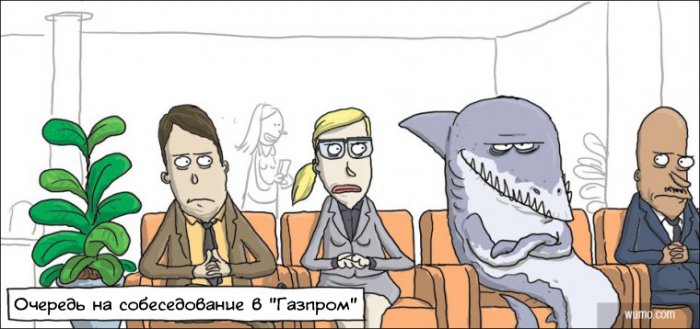 Забавные картинки