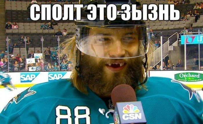 Порция картинок