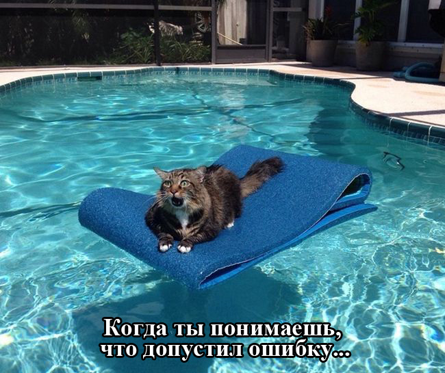 Порция картинок