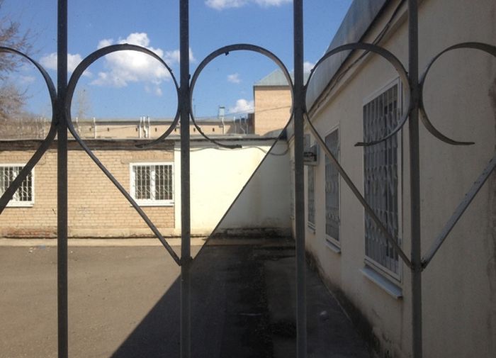 Порция картинок