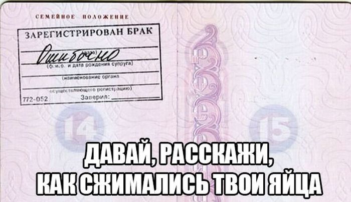 Забавные картинки