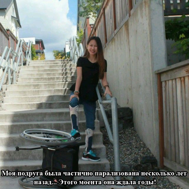 Порция картинок