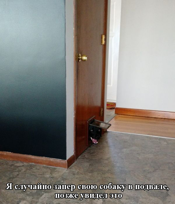Порция картинок