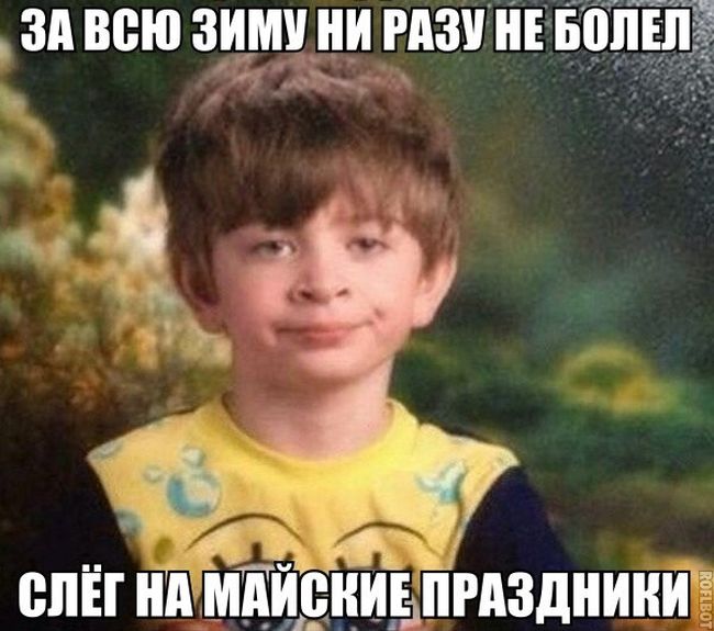 Порция картинок