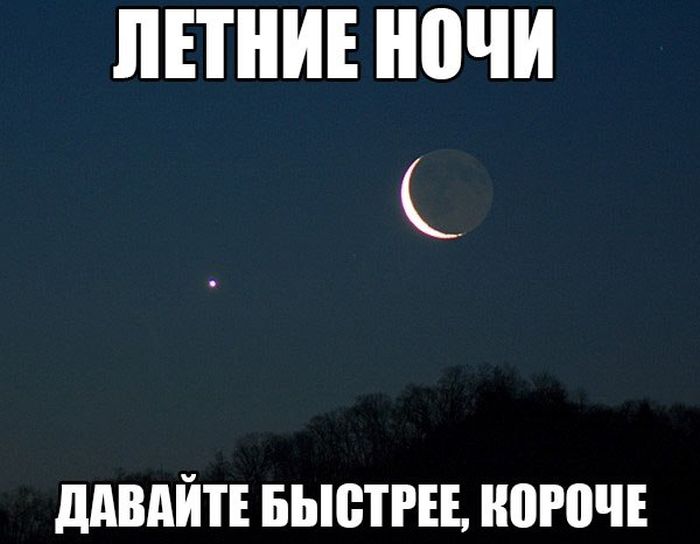 Порция картинок
