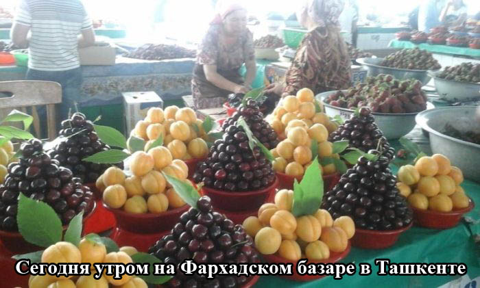 Порция картинок