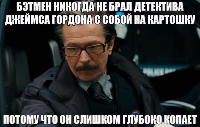 Порция картинок