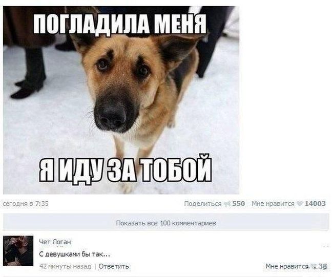 Порция картинок