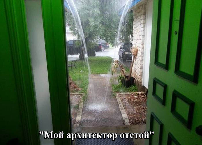 Порция картинок