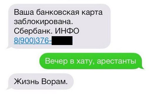 Забавные картинки